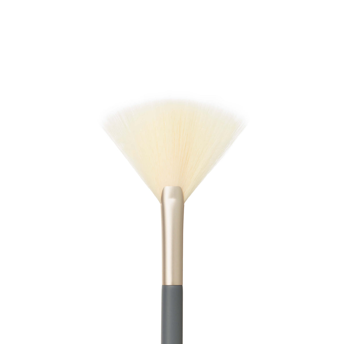 Pro Series Fan Brush